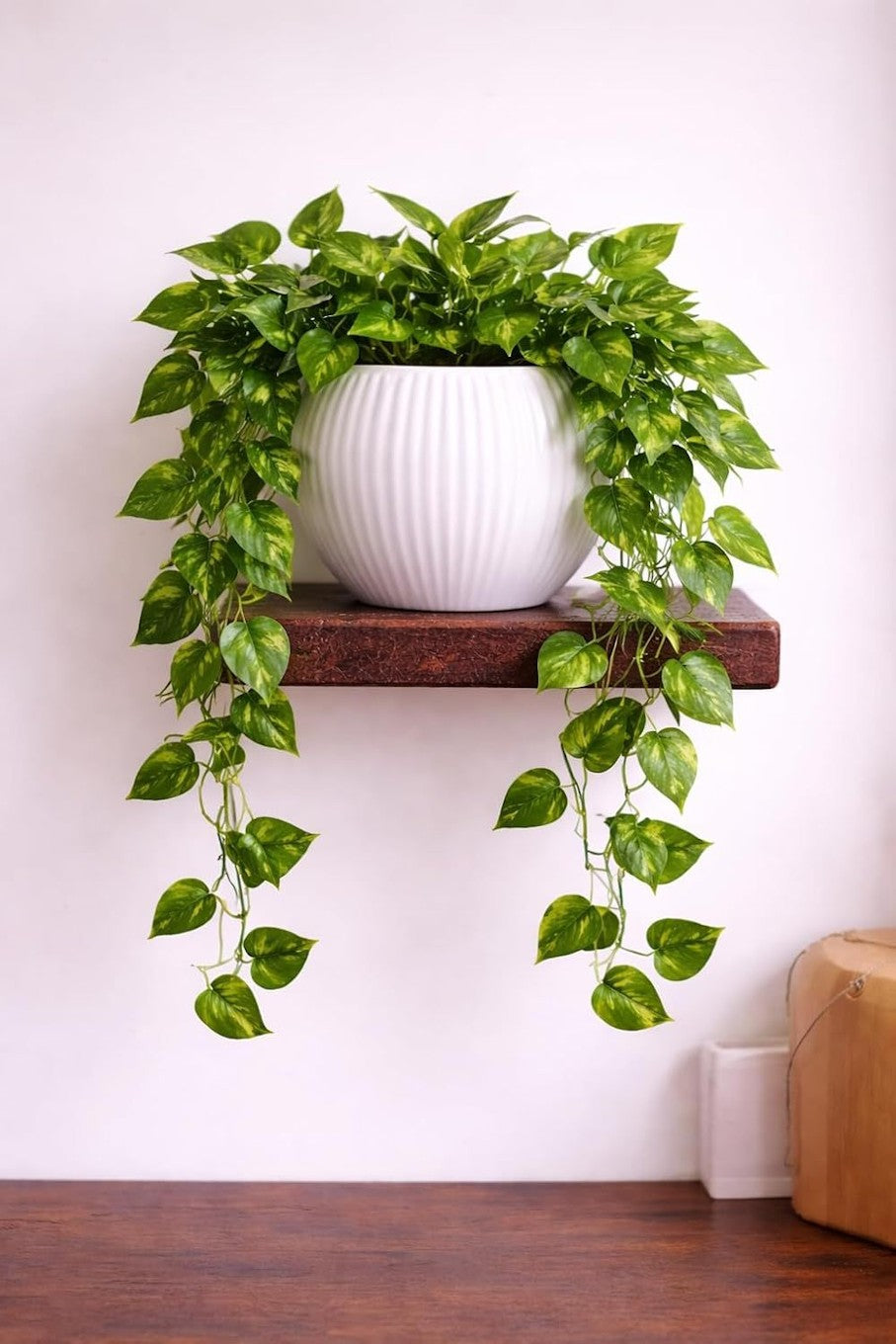Artificial Green Plant for Modern Home Interior Decoration